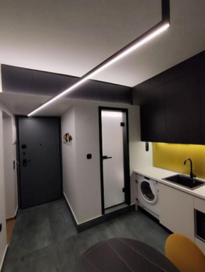 smart flat downtown
